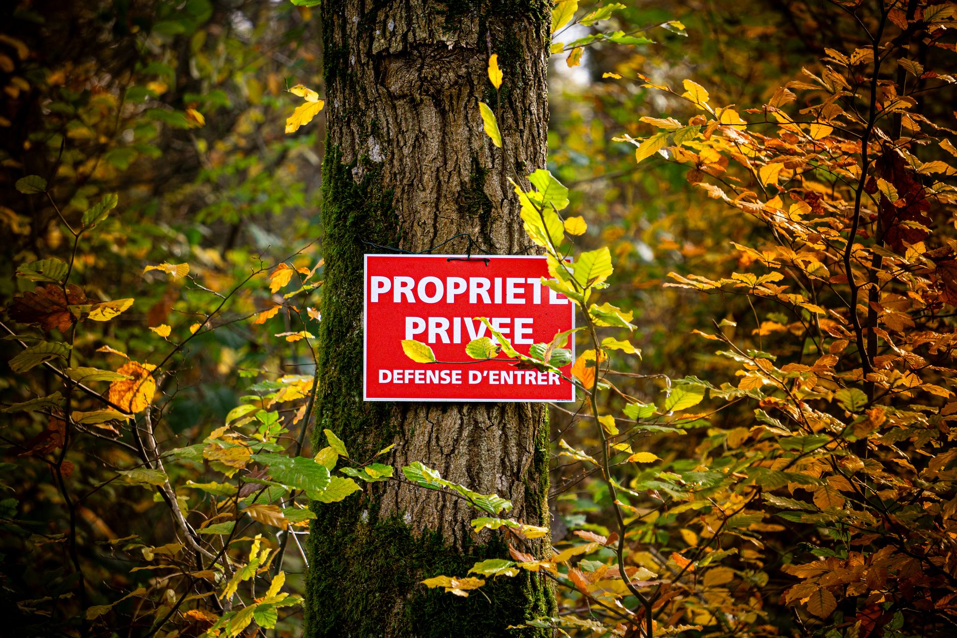 Détective privé à Roubaix